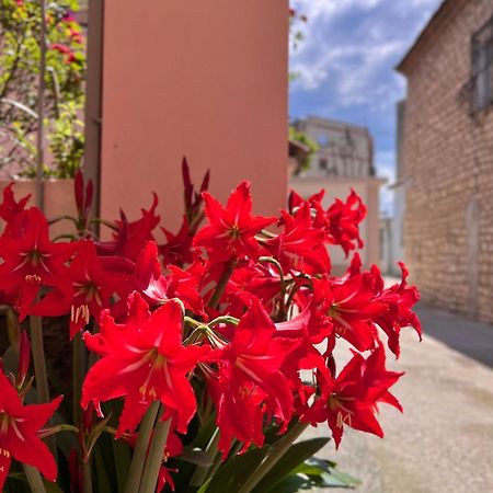 Villa Ensalv Berat - Apartment - Room - Penthouse Εξωτερικό φωτογραφία