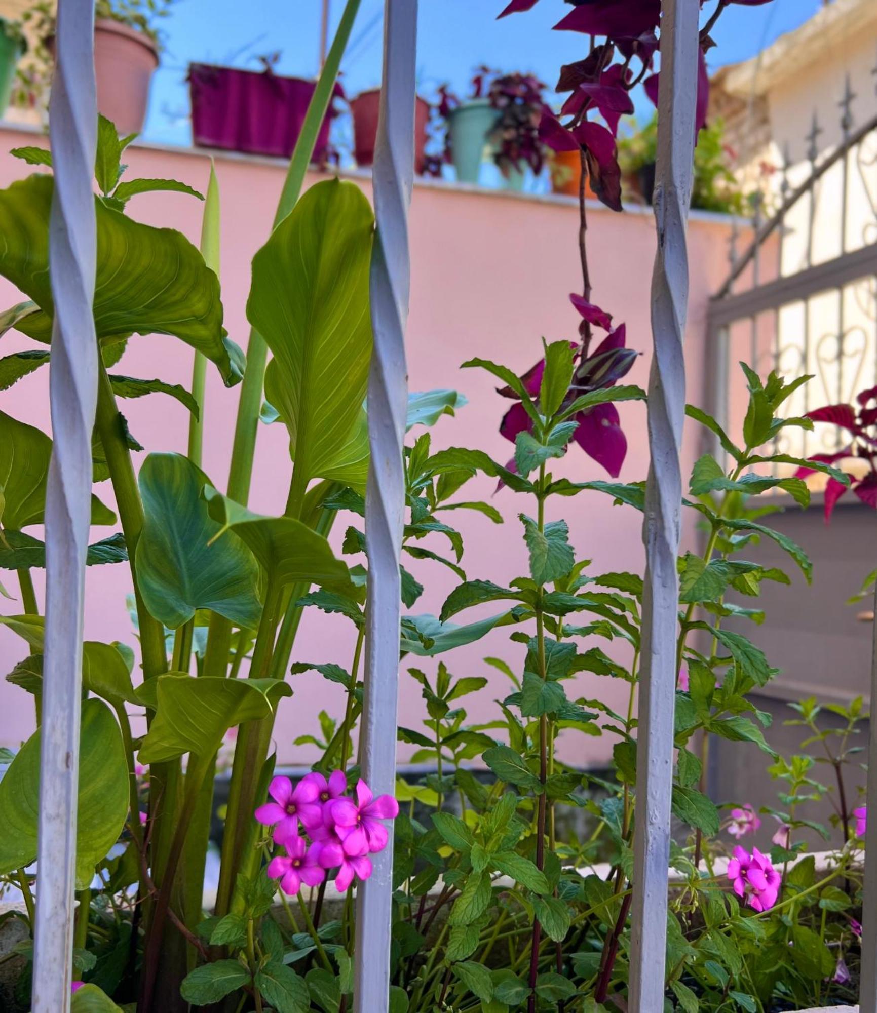 Villa Ensalv Berat - Apartment - Room - Penthouse Εξωτερικό φωτογραφία