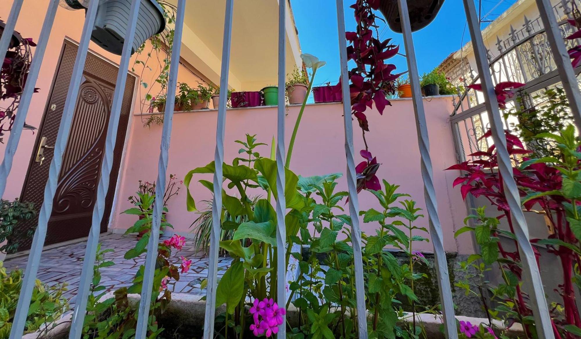 Villa Ensalv Berat - Apartment - Room - Penthouse Εξωτερικό φωτογραφία
