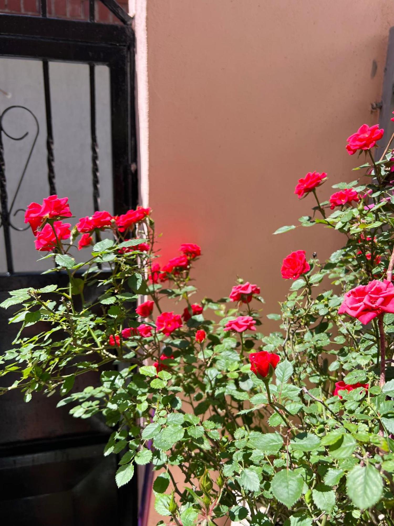 Villa Ensalv Berat - Apartment - Room - Penthouse Δωμάτιο φωτογραφία
