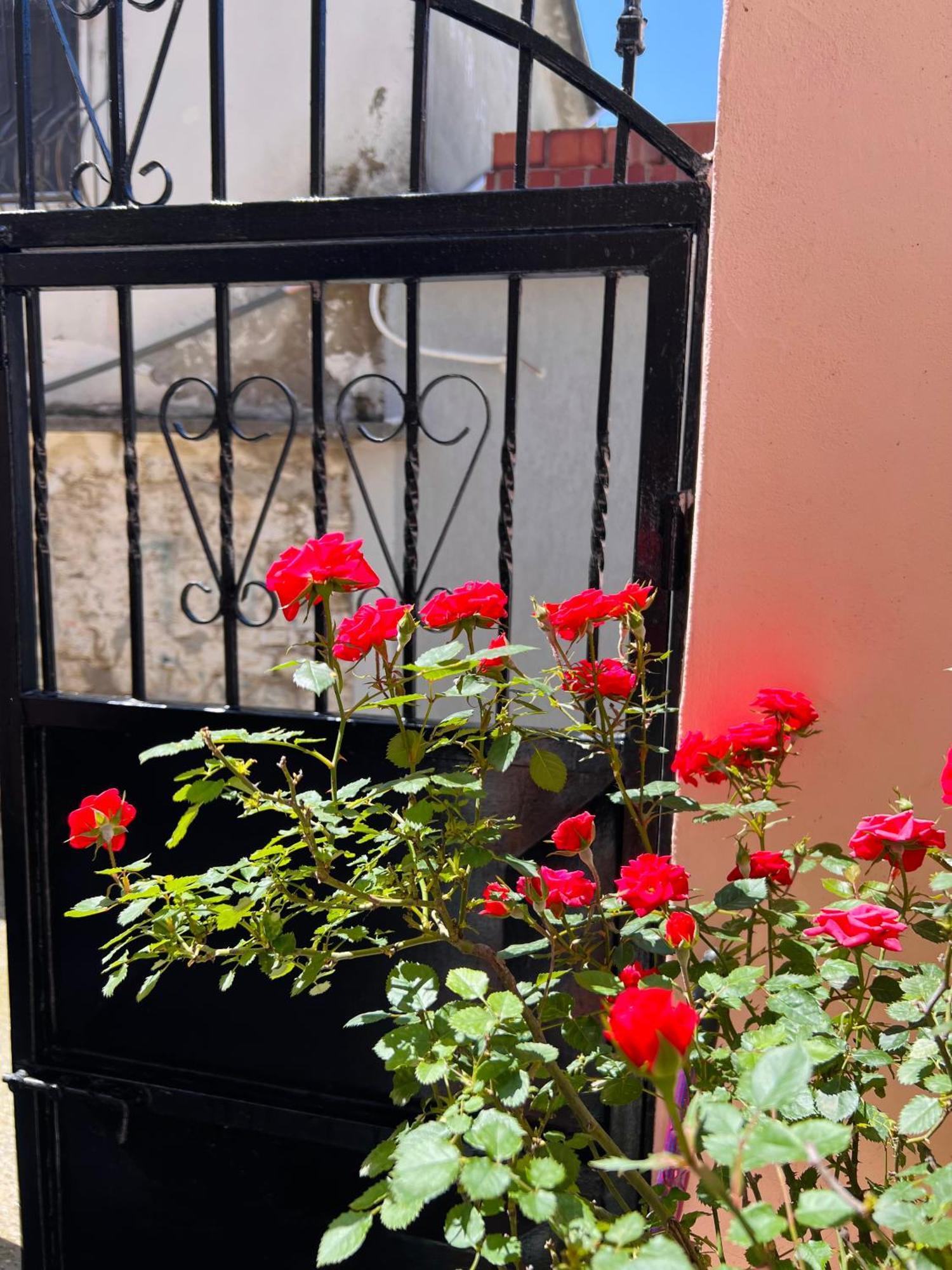 Villa Ensalv Berat - Apartment - Room - Penthouse Εξωτερικό φωτογραφία